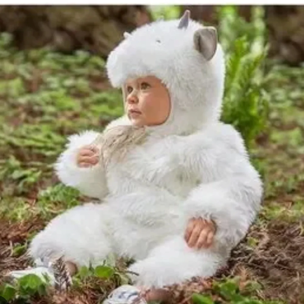 Pottery Barn Kids Baby Goat Furry Hooded Costume Button Closure NEW 12-24MO